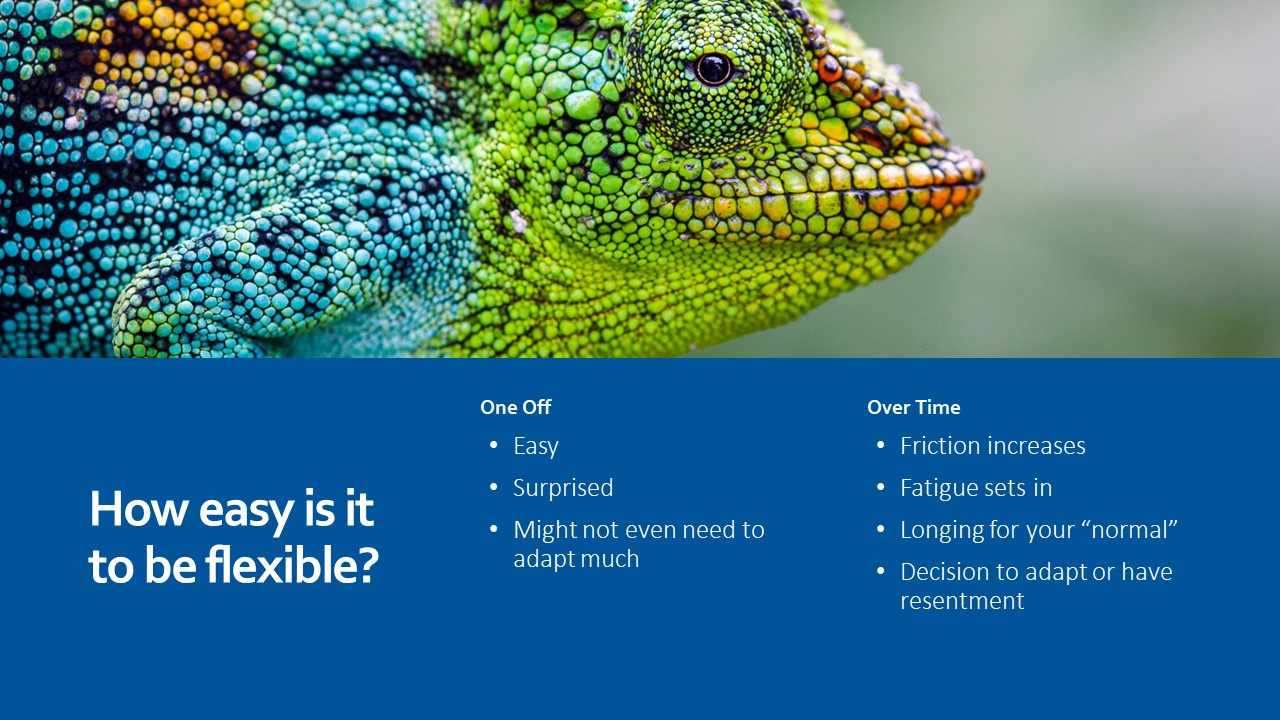 cultural flexibility