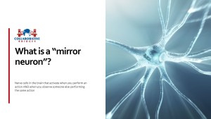 implications of mirror neurons