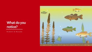 observational skills for cross-cultural communication